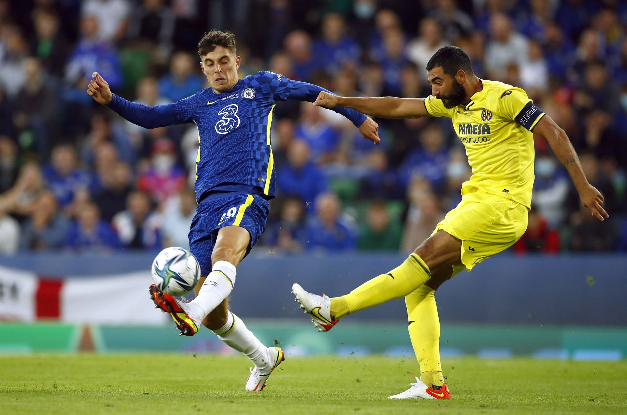 主教练阿尔 主教练阿尔